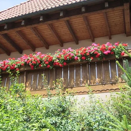 Sattler House, Non-smoking Vakantiehuis